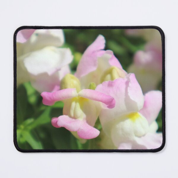 Item preview, Carnival of Flowers snapdragons designed and sold by Dominique Tassell.