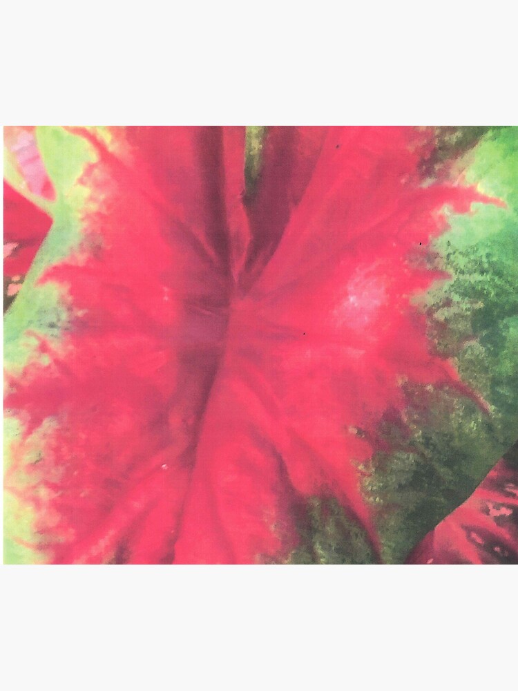 Thumbnail 5 of 5, Mouse Pad, CALADIUM COLOR BURST designed and sold by DAVIDLIBERTY.