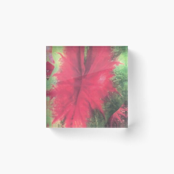 Item preview, CALADIUM COLOR BURST designed and sold by DAVID Liberty.