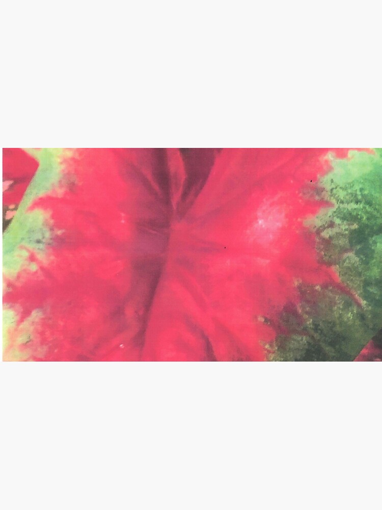 Thumbnail 6 of 6, Bucket Hat, CALADIUM COLOR BURST designed and sold by DAVIDLIBERTY.