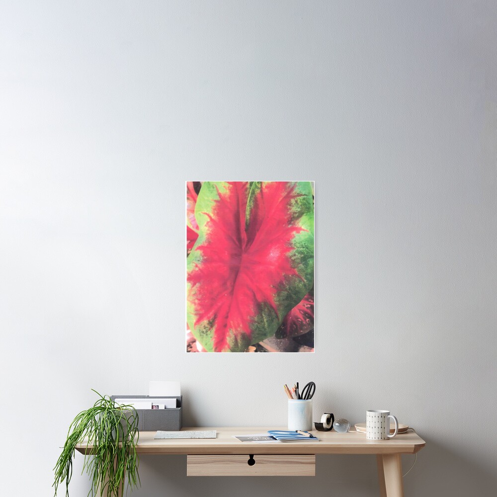 Item preview, Poster designed and sold by DAVIDLIBERTY.
