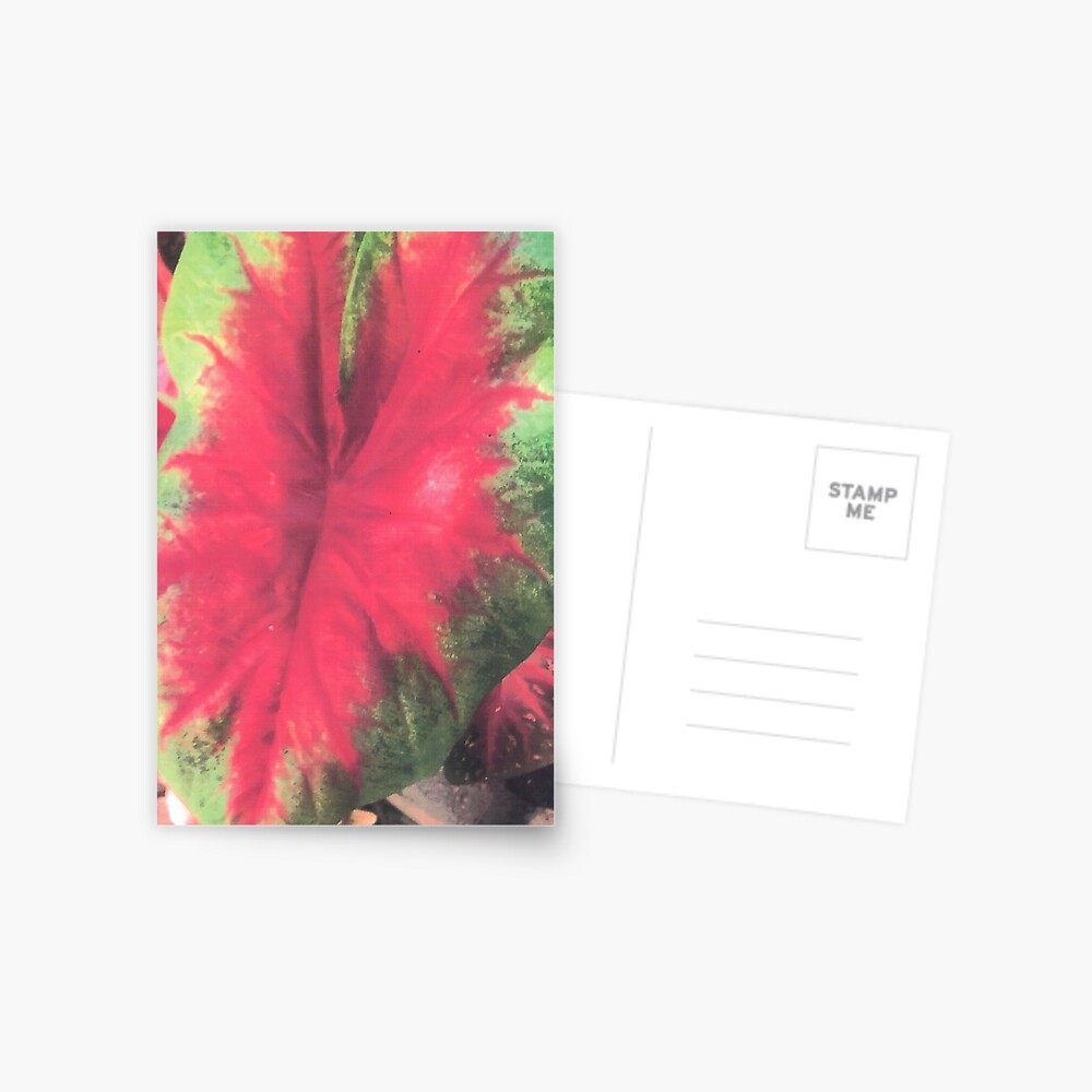 Item preview, Postcard designed and sold by DAVIDLIBERTY.