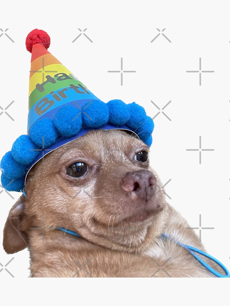 “Birthday Mouse” Sticker for Sale by Cheddariniii | Redbubble