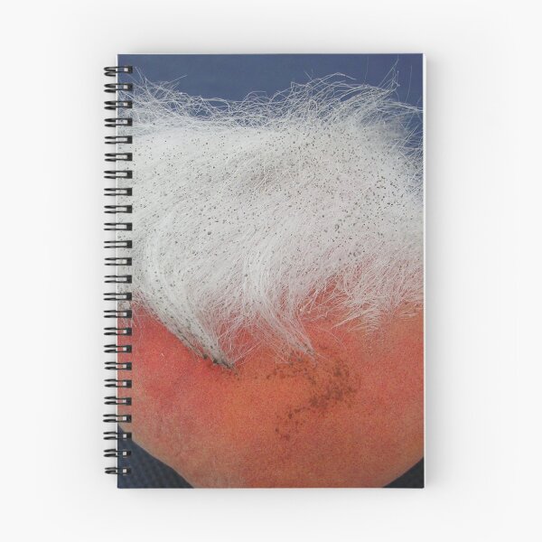 Item preview, Haircut?  (Mouldy Peach) designed and sold by lezvee.