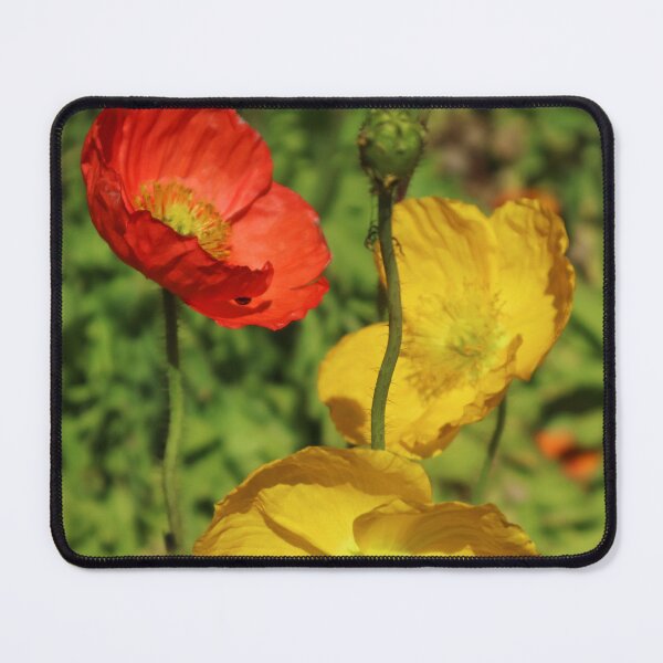 Item preview, Carnival of Flowers poppies designed and sold by Dominique Tassell.