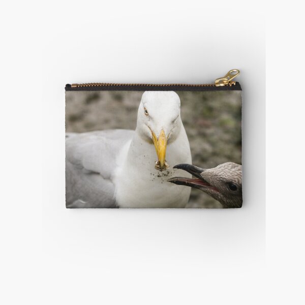 Item preview, Herring gull feeding chick designed and sold by GreyFeatherPhot.