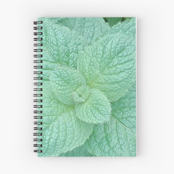 Item preview, mint designed and sold by AidaArt.