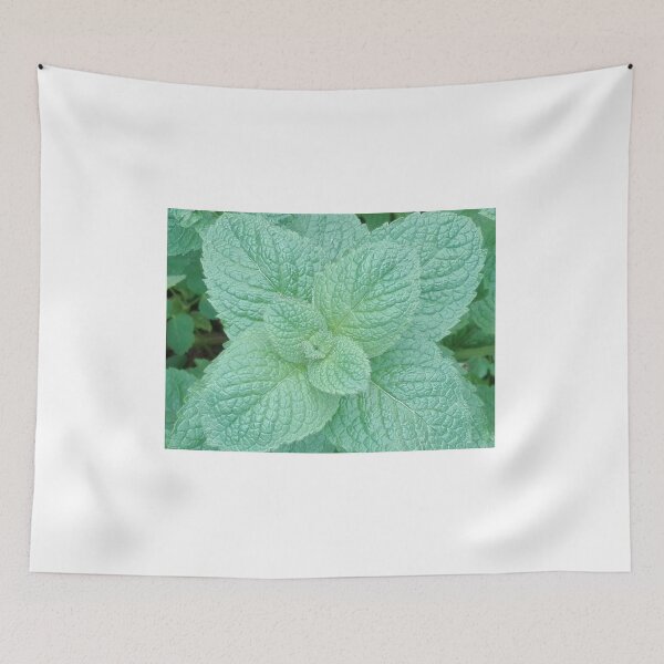 Item preview, mint designed and sold by AidaArt.