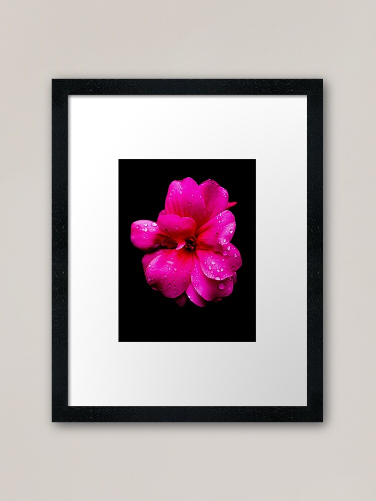 Alternate view of Pelargonium Framed Art Print