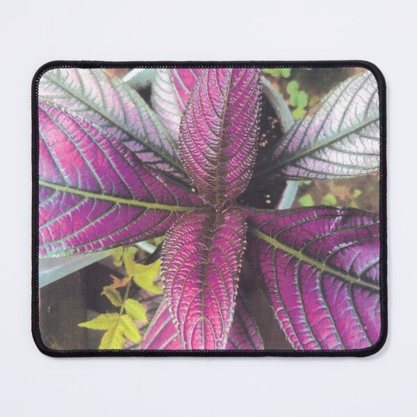 Item preview, PERFECT PURPLE WAFFLE designed and sold by DAVID Liberty.