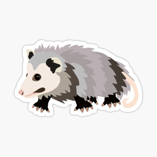 Opossum Possum Pal Sticker
