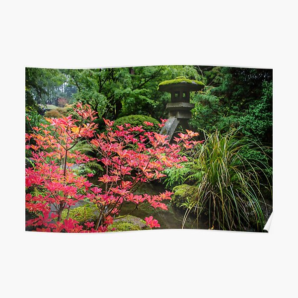 japanese garden 4 Poster