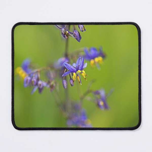 Item preview, Butterfly Iris Flax Lily designed and sold by Joy Watson - Natural Light Photography .