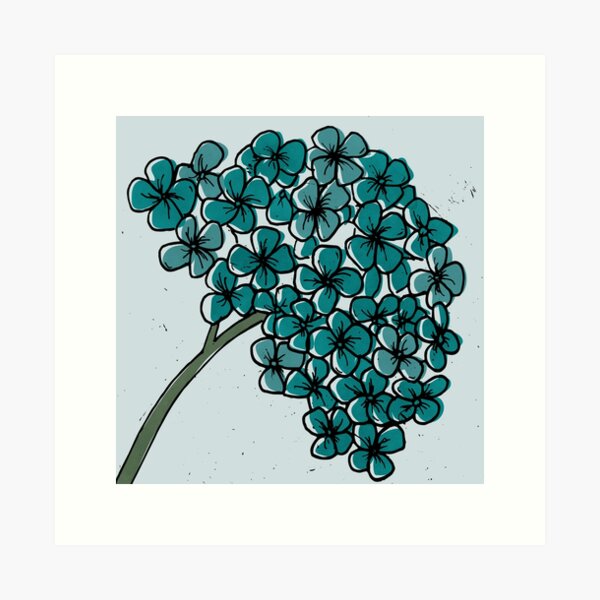 Hydrangea Art Print