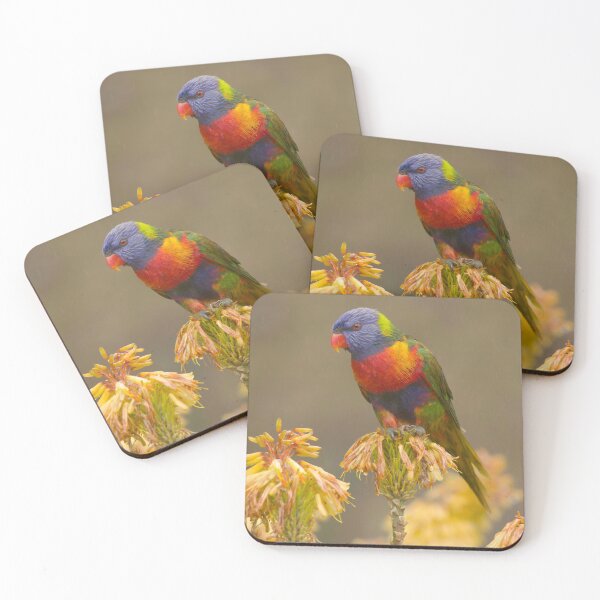 Item preview, You Can't Have a Rainbow Without Rain designed and sold by CBoyle.