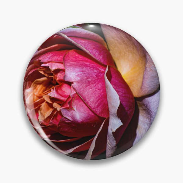 Artikelvorschau, Die Rose. entworfen und verkauft von PVphotography.