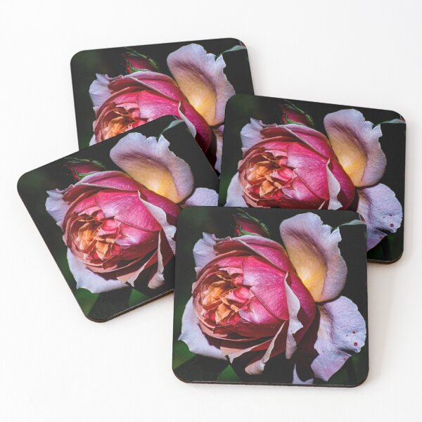 Item preview, The Rose. designed and sold by PVphotography.