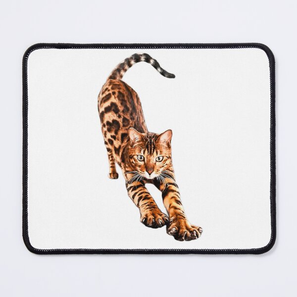 Bengal Cat Stretching  Art Print for Sale by ElegantCat