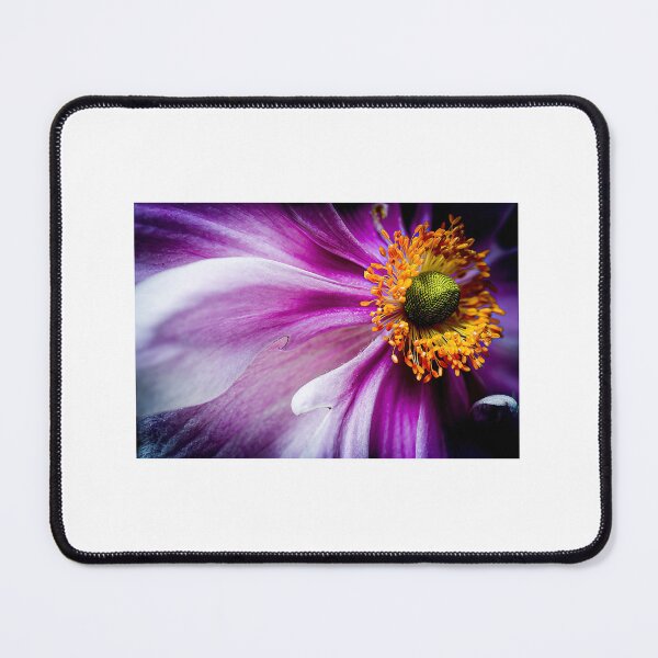 Item preview, Japanese wind flower designed and sold by PVphotography.