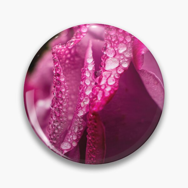 Item preview, Raindrops on roses designed and sold by PVphotography.