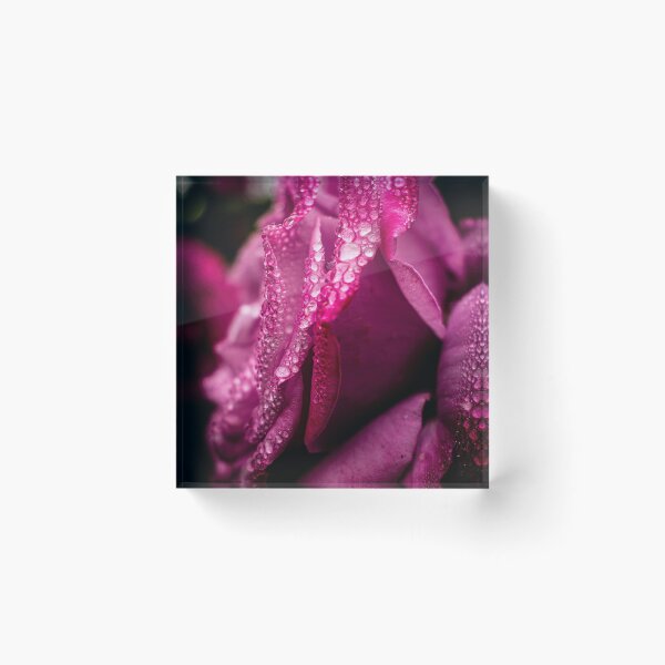 Item preview, Raindrops on roses designed and sold by PVphotography.