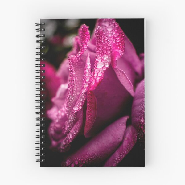 Item preview, Raindrops on roses designed and sold by PVphotography.