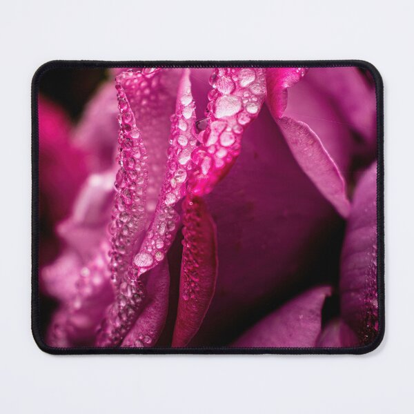 Item preview, Raindrops on roses designed and sold by PVphotography.