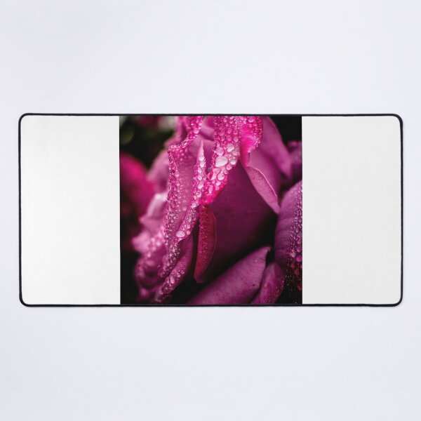Item preview, Raindrops on roses designed and sold by PVphotography.