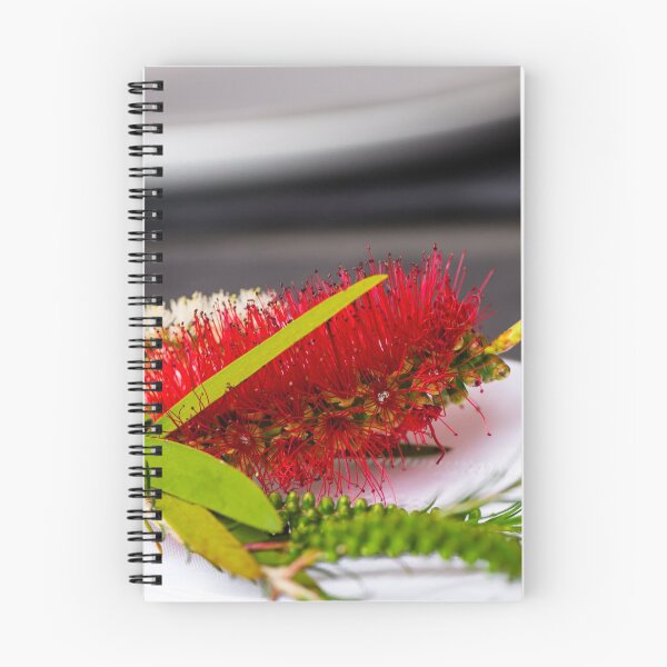 Item preview, bottlebrush designed and sold by Gillian Vann.