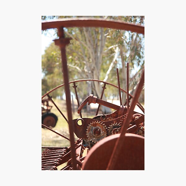 Rusting farm equipment Photographic Print