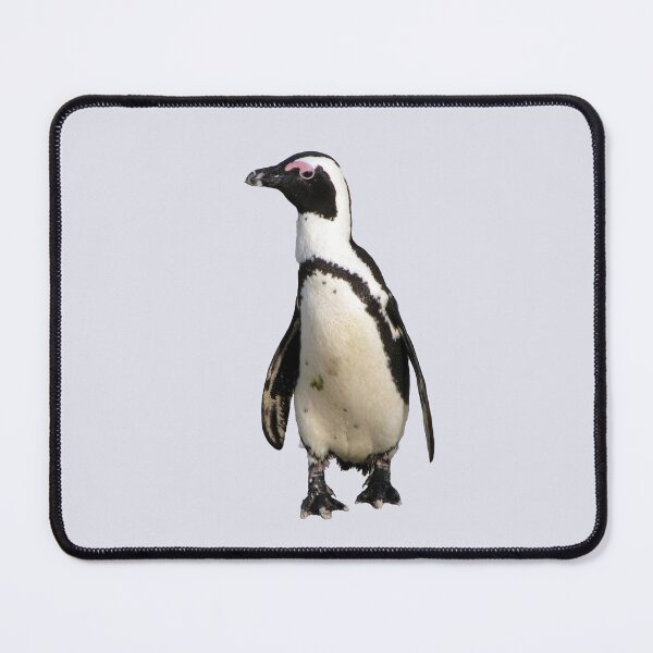 Item preview, African Penguin Boulders Beach, Cape Town, South Africa designed and sold by worldways.