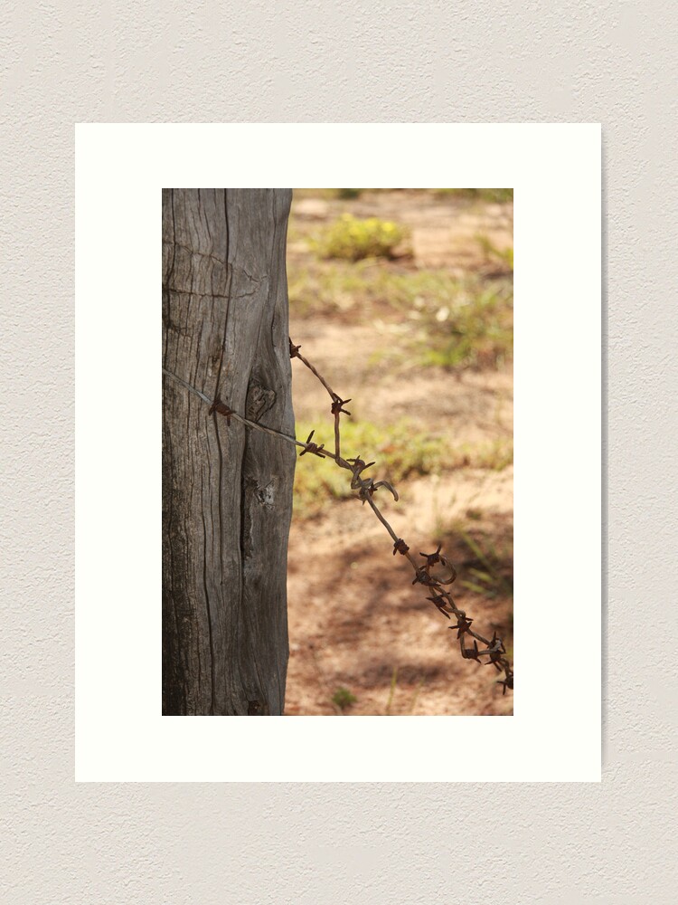 Alternate view of Old barbed wire Art Print