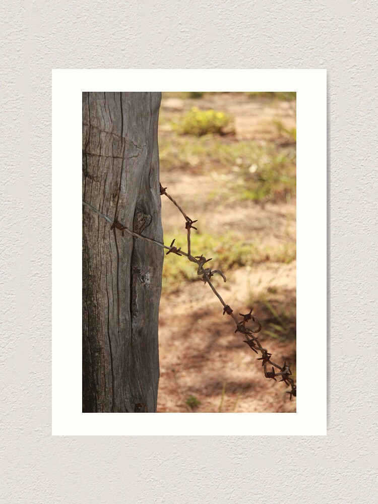 Alternate view of Old barbed wire Art Print