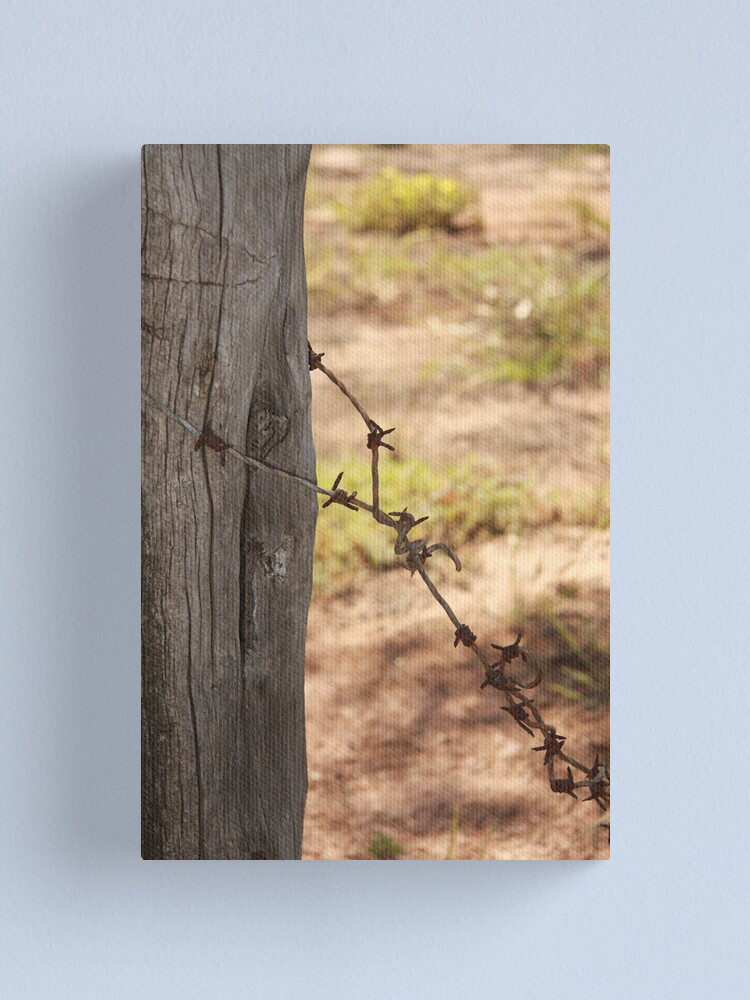 Alternate view of Old barbed wire Canvas Print