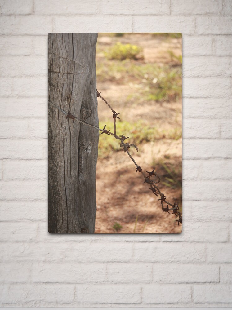 Metal Print, Old barbed wire designed and sold by Andreas Koepke