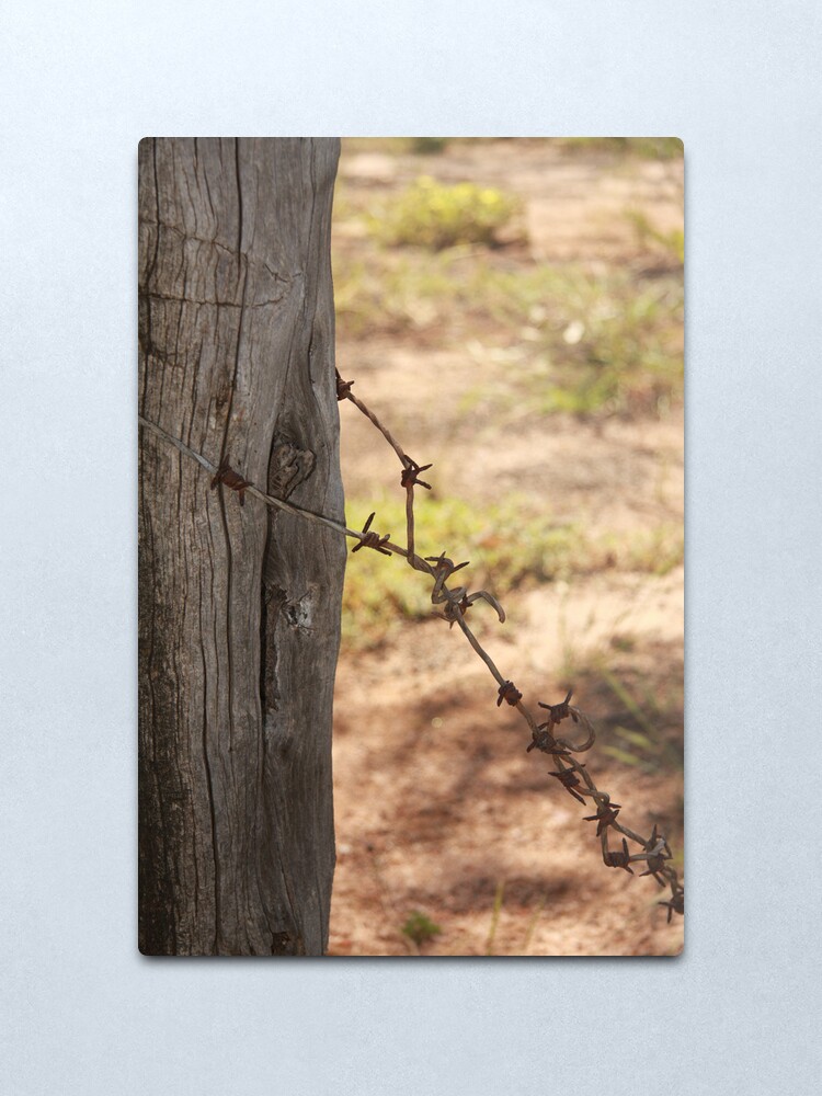 Alternate view of Old barbed wire Metal Print