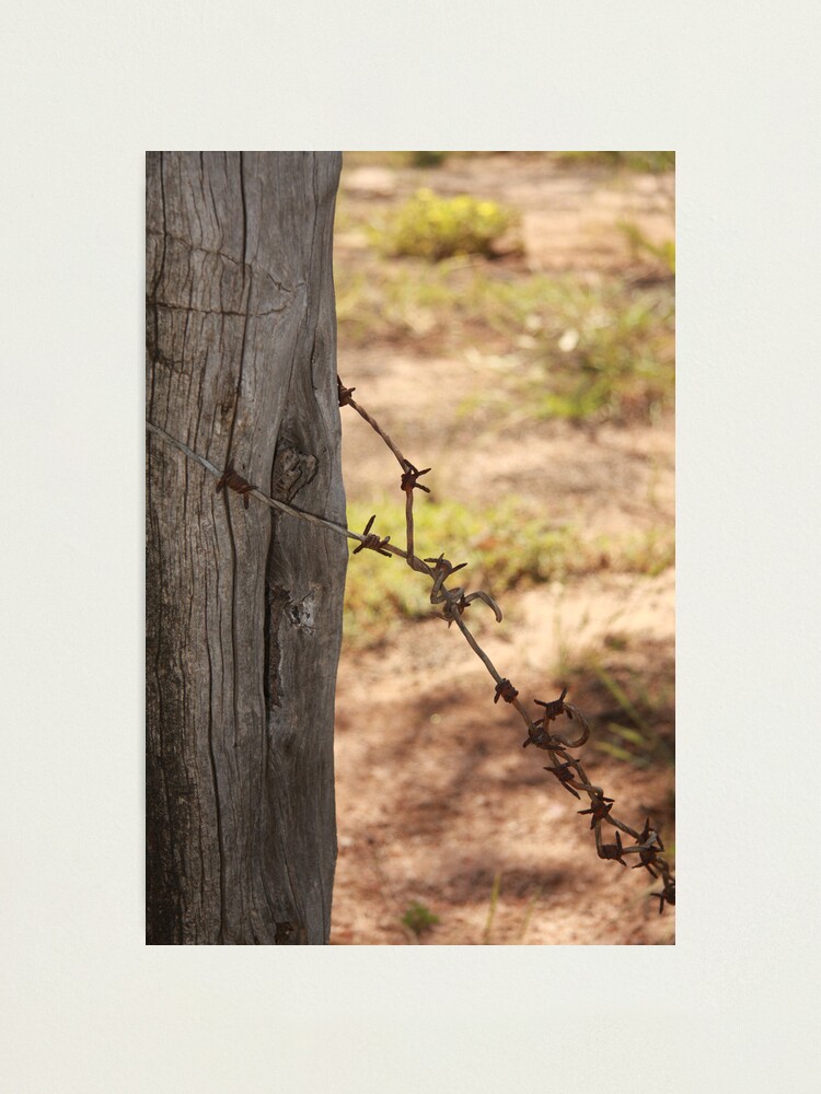 Alternate view of Old barbed wire Photographic Print
