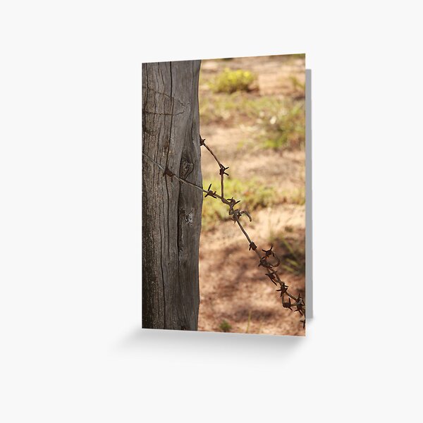 Old barbed wire Greeting Card