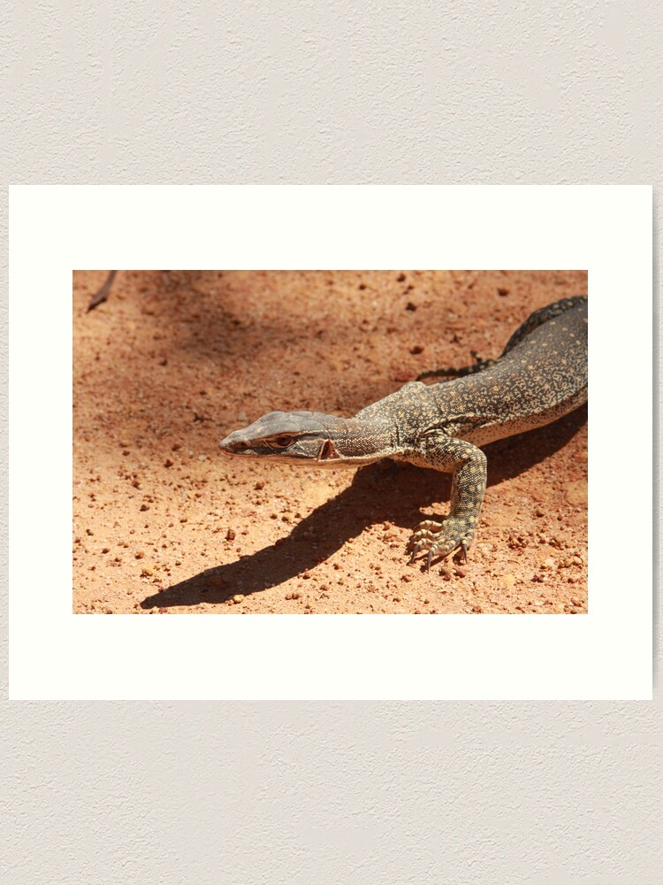 Thumbnail 1 of 3, Art Print, Sand goanna – Varanus gouldi designed and sold by mistered.