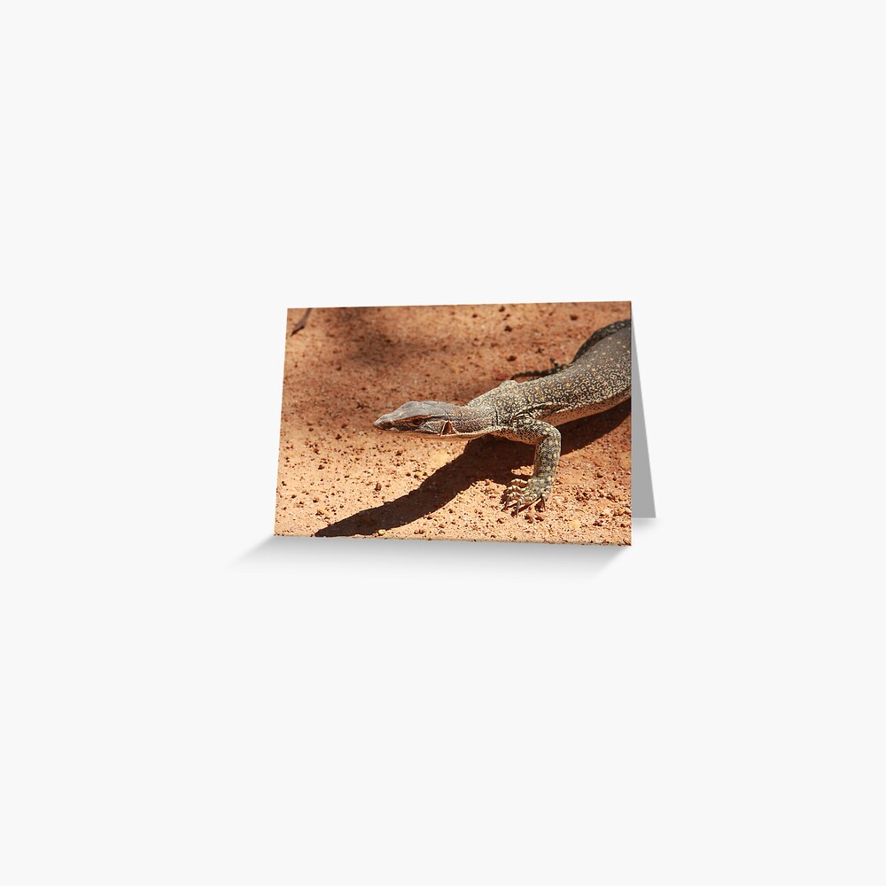 Sand goanna – Varanus gouldi Greeting Card