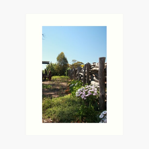 Flowers by the fence Art Print