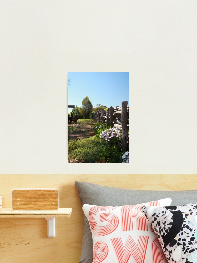 Thumbnail 2 of 3, Photographic Print, Flowers by the fence designed and sold by mistered.