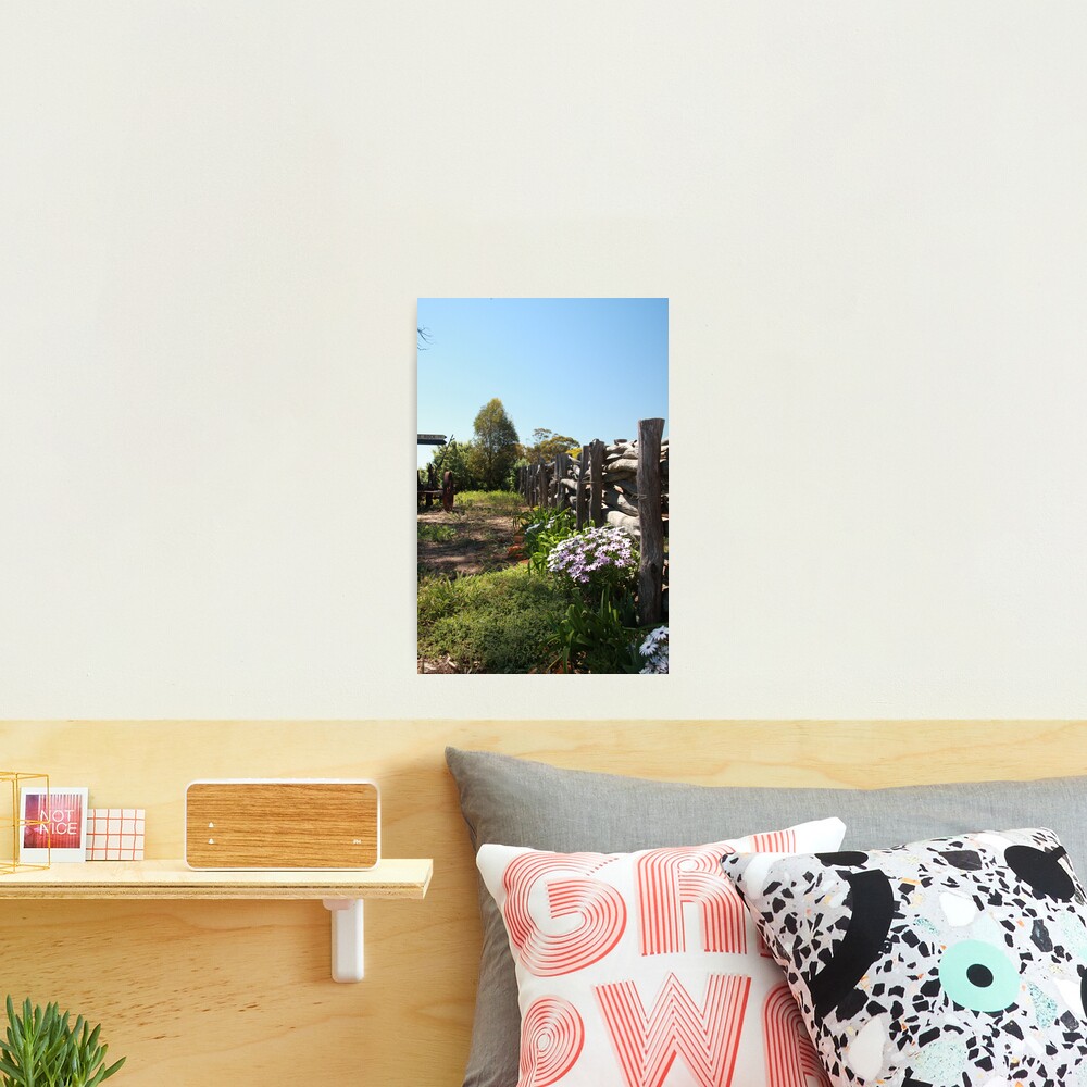 Flowers by the fence Photographic Print