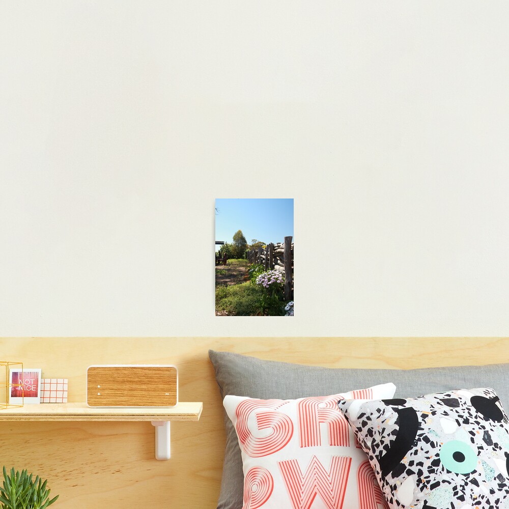 Item preview, Photographic Print designed and sold by mistered.