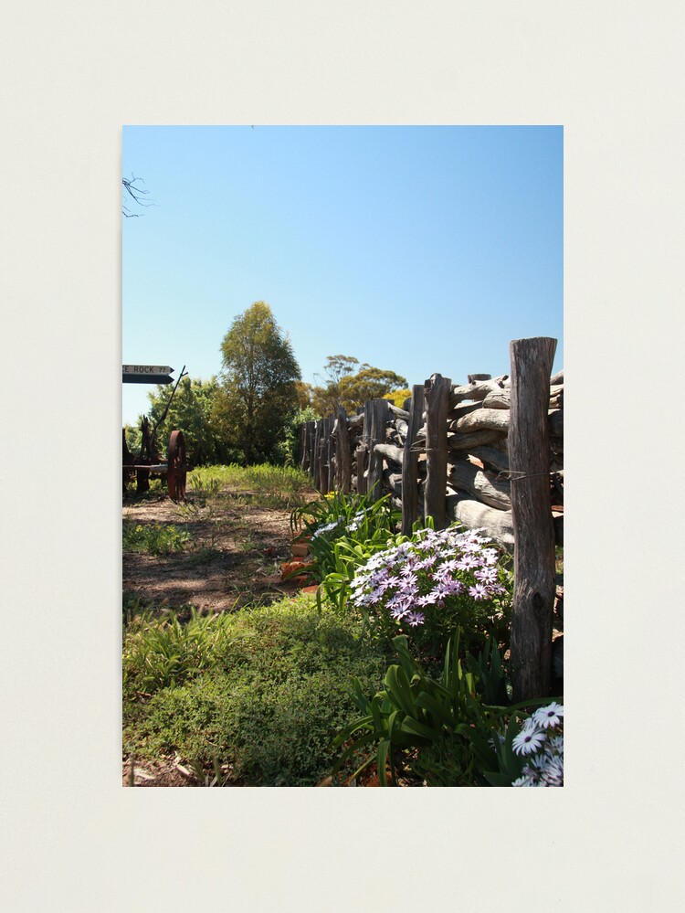 Alternate view of Flowers by the fence Photographic Print
