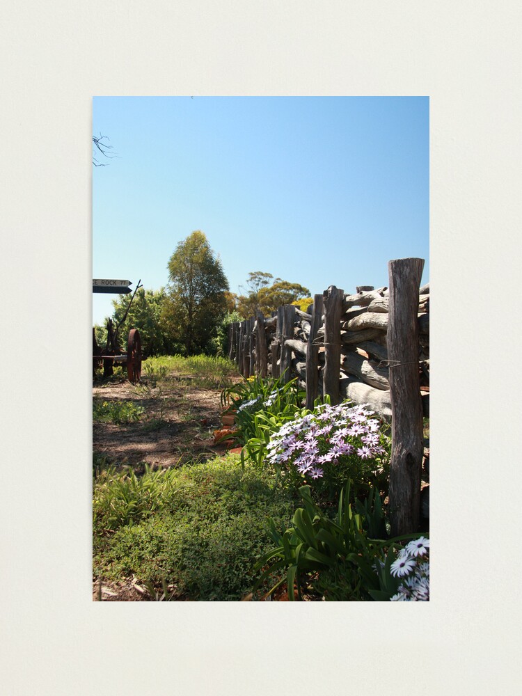 Alternate view of Flowers by the fence Photographic Print