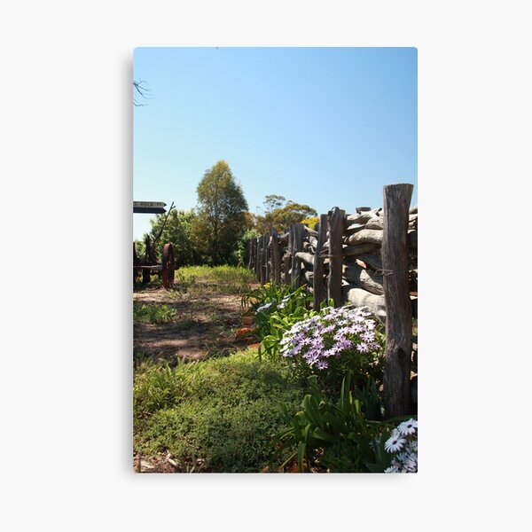 Flowers by the fence Canvas Print