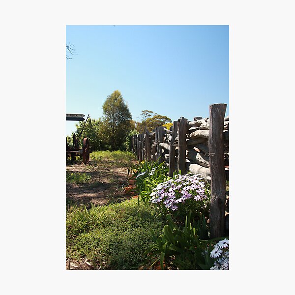 Photographic Print