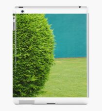 Tri-colour iPad Case/Skin