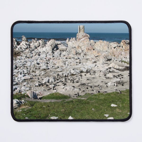 Item preview, African Penguin Colony Boulders Beach, Cape Town, South Africa designed and sold by worldways.